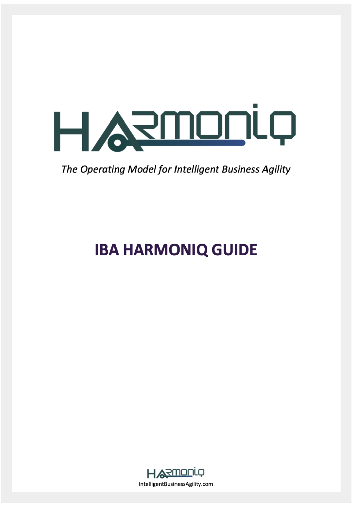 it iba cover front