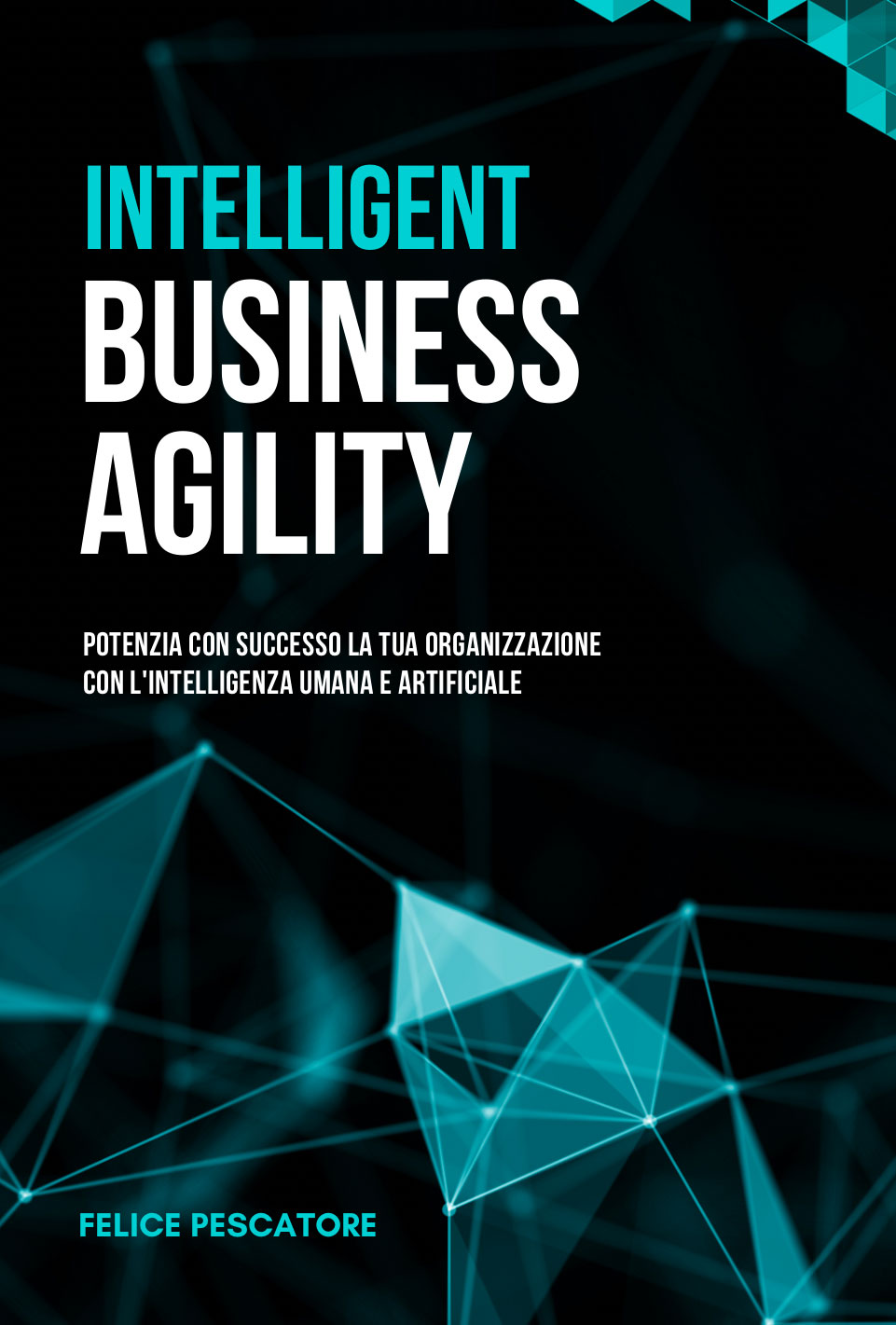 it iba cover front
